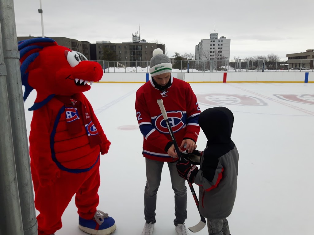 Parc du Cardinal-Roy | 4040 Rue Jacques de Labadie, Trois-Rivières, QC G8Y 5K8, Canada