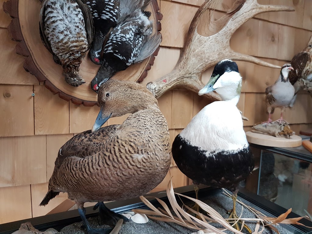 Taxidermie Chez Eric | 279 Rue Principale, Vallée-Jonction, QC G0S 3J0, Canada | Phone: (418) 253-6495