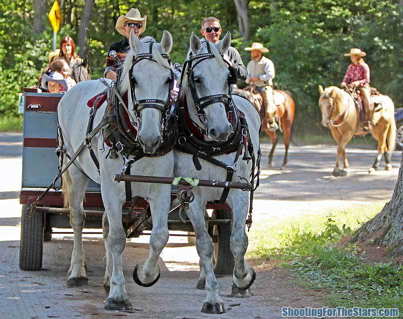 Twin Maples Farm | 1227 Base Line Rd, Severn Bridge, ON P0E 1N0, Canada | Phone: (705) 689-0182
