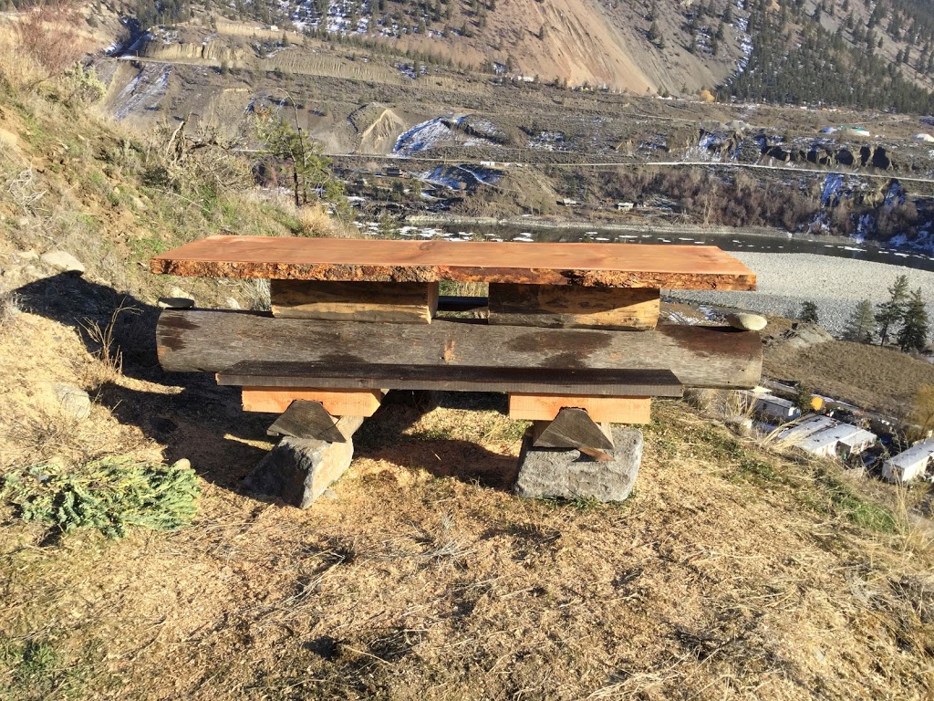 Critter Get Ritter | 37760 2 Ave, Squamish, BC V8B 0K1, Canada | Phone: (778) 508-7785