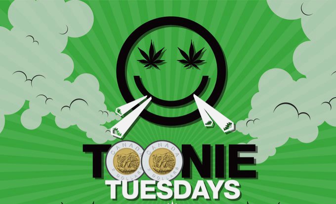 High Life Cannabis Shop | 195 Beach Rd, Trenton, NS B0K 1X0, Canada | Phone: (902) 957-4527