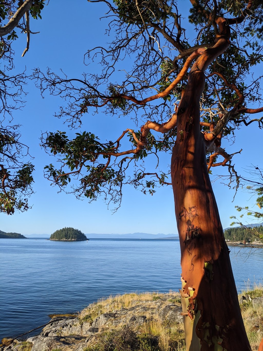Daniel Point Park | 4190 Orca Rd, Garden Bay, BC V0N 1S1, Canada | Phone: (604) 885-6800