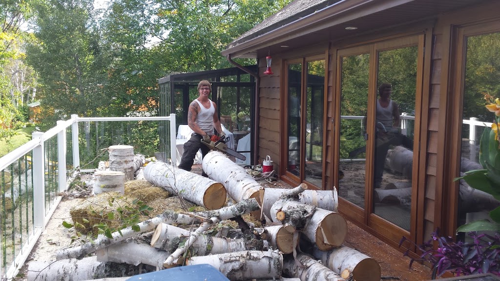 ÉMONDAGE ÉLITE | 3 Ch du Ruisseau, Mandeville, QC J0K 1L0, Canada | Phone: (450) 835-3781