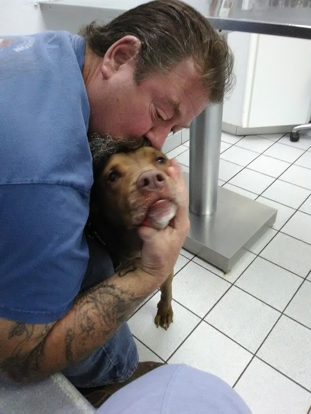 Yale Veterinary Hospital | 10930 Yale Rd, Brockway, MI 48097, USA | Phone: (810) 387-4370