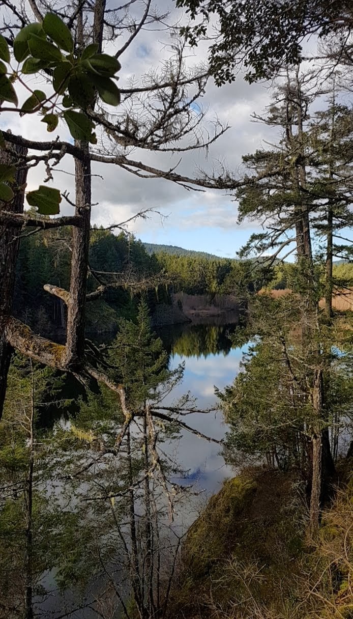 Sooke Hills Wilderness Regional Park | 3059 Humpback Rd, Victoria, BC V9B 5Y6, Canada | Phone: (250) 478-3344