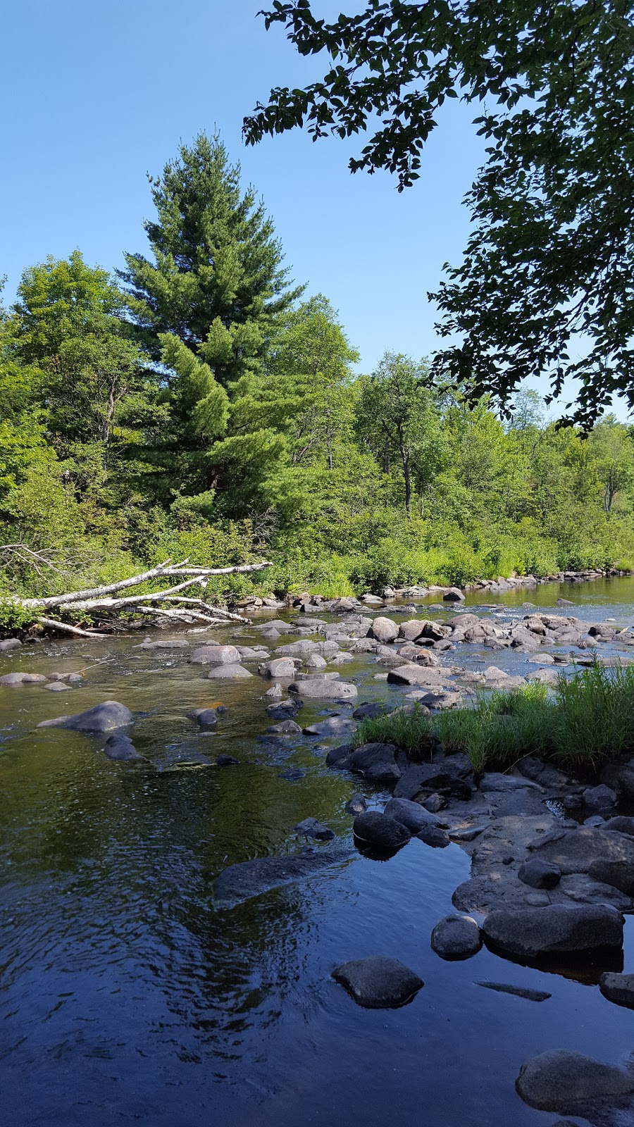 Silvio O. Conte National Fish and Wildlife Refuge - Nulhegan Bas | 5396 VT-105, Brunswick, VT 05905, USA | Phone: (802) 962-5240