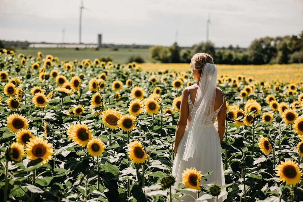 Have & Howl Photography | 168 Ontario Rd, Mitchell, ON N0K 1N0, Canada | Phone: (226) 303-4005