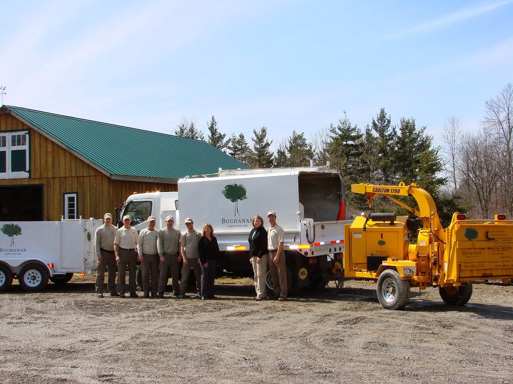 Buchanan Expert Tree Care Inc | 370 Welland Rd, Fenwick, ON L0S 1C0, Canada | Phone: (905) 892-6579