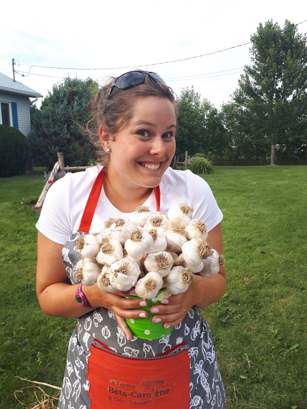 Ferme Bêta-Carotène | 2493 Chem. de lÉglise, Sainte-Clotilde-de-Châteauguay, QC J0L 1W0, Canada | Phone: (514) 623-7218