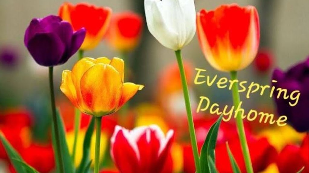 Everspring Dayhome .... Approved by Albert licensing agency | 24 Everridge Rd SW, Calgary, AB T2Y 4S8, Canada | Phone: (403) 604-3419