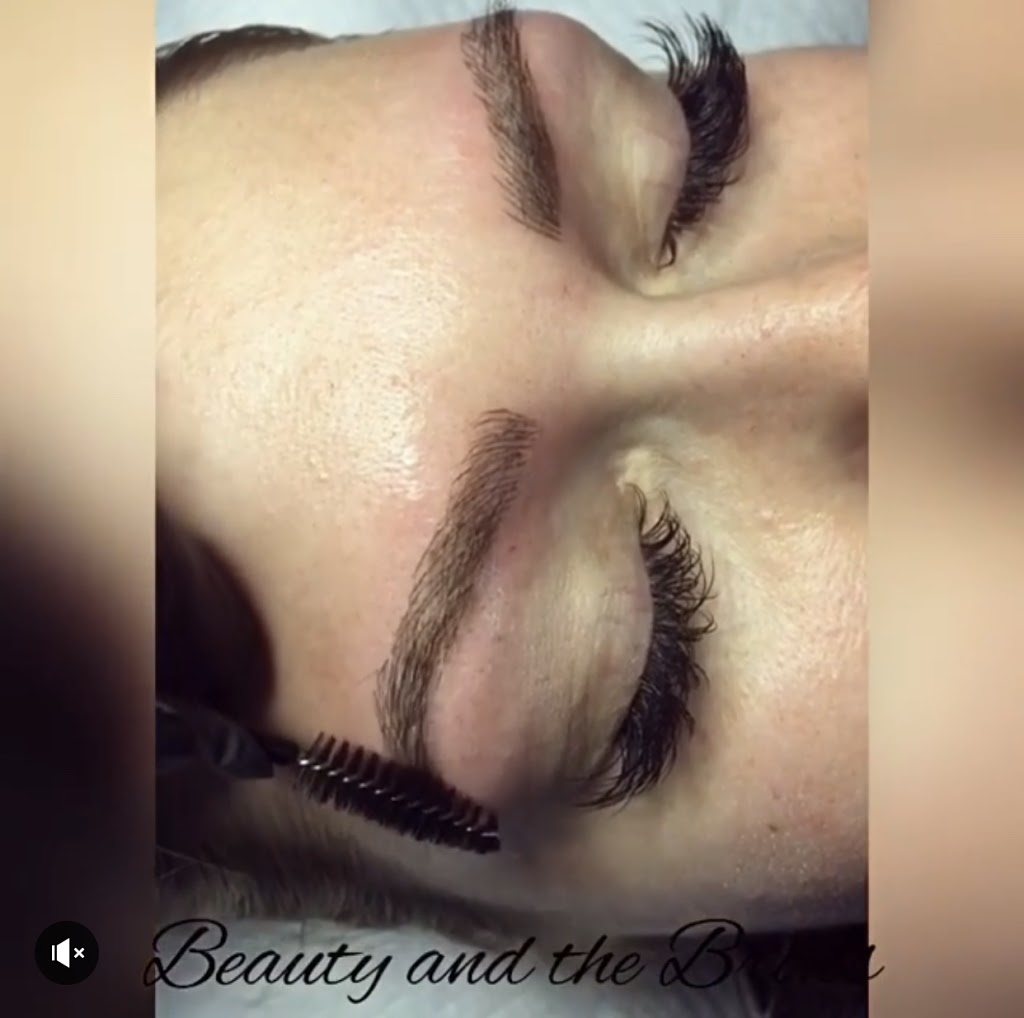Beauty and the Brows Hamilton | 120 A Parkdale Ave N, Hamilton, ON L8H 5W9, Canada | Phone: (905) 928-3939
