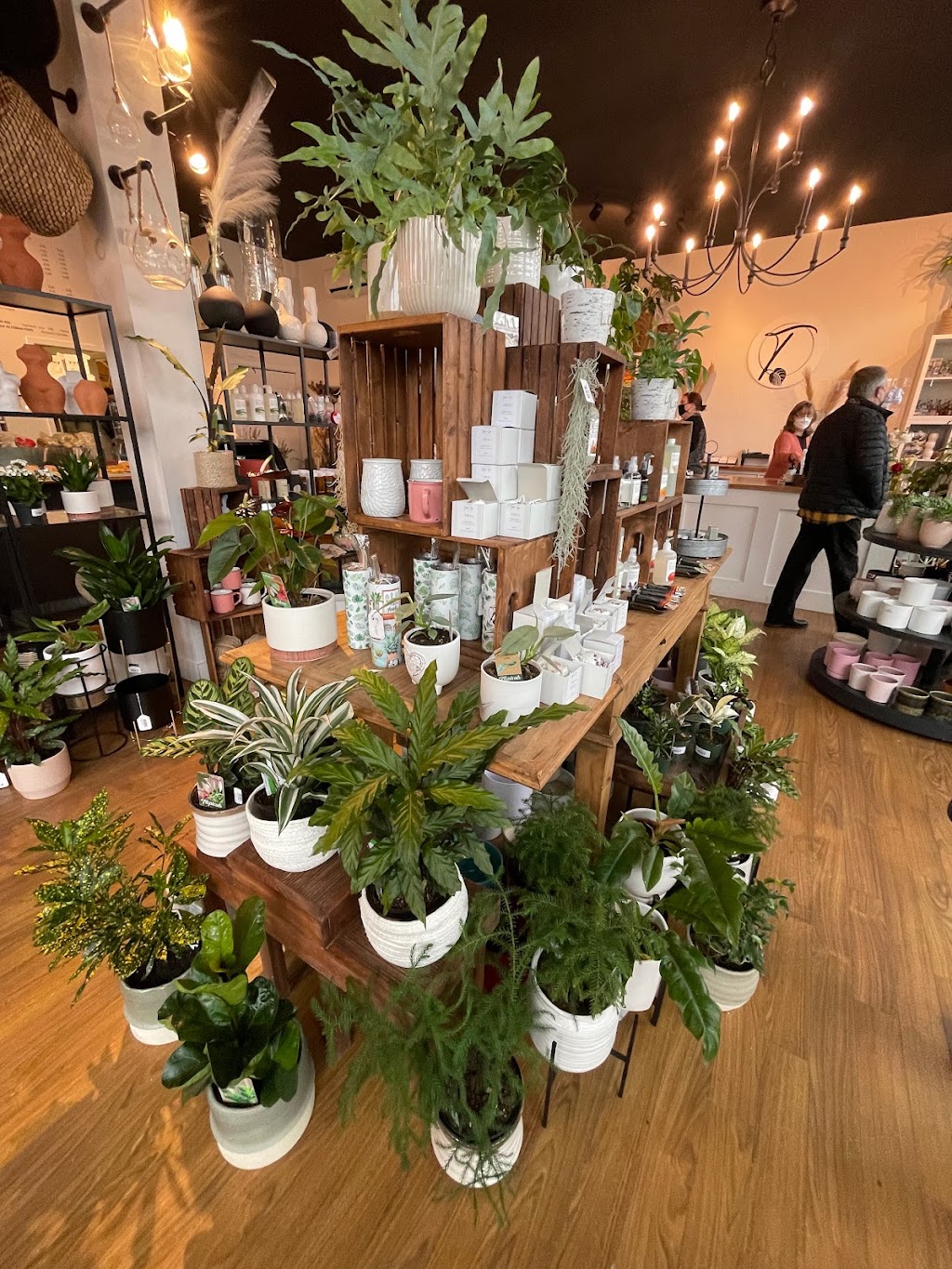 Thrive Greenery and Gifts | 5723 176 St #5, Surrey, BC V3S 4C9, Canada | Phone: (778) 547-0838