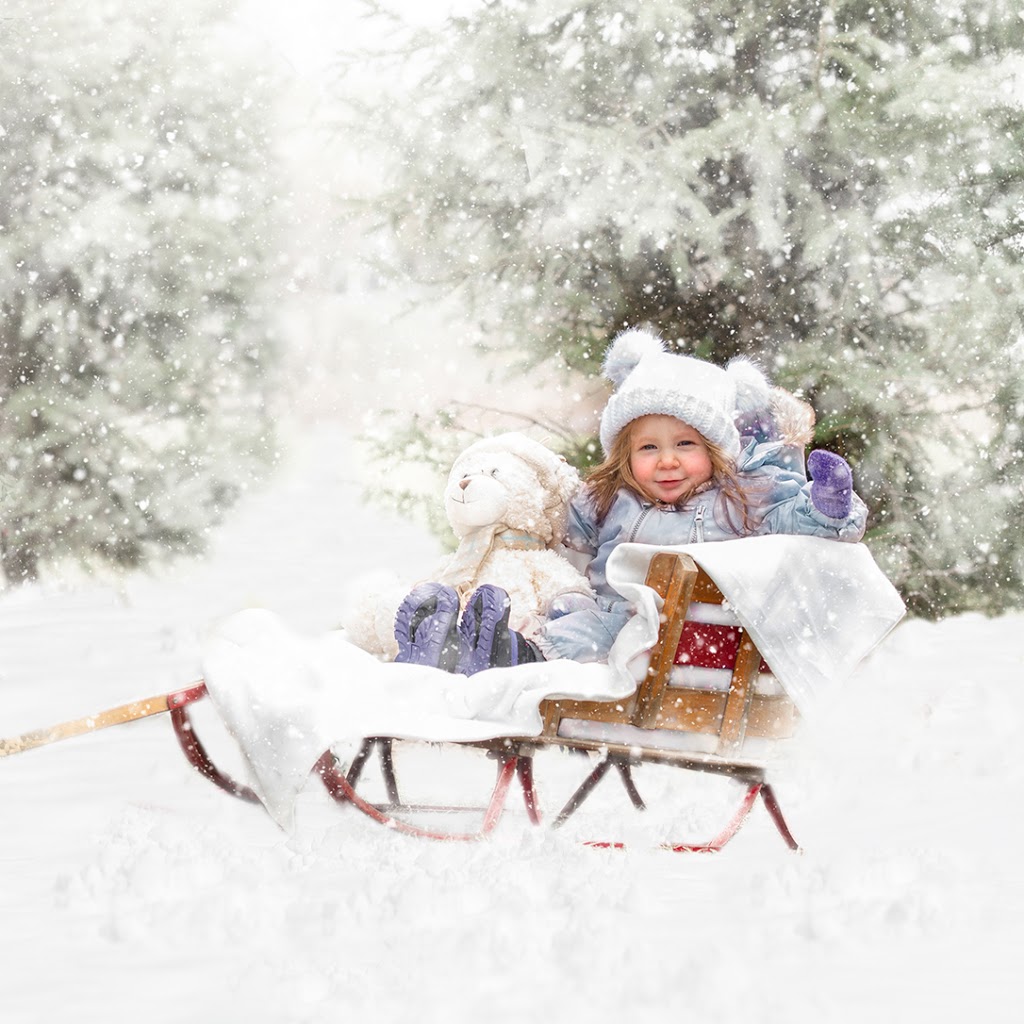 CHRISTINA TODOROV Photography | 1864 Brookshire Square, Pickering, ON L1V 5G3, Canada | Phone: (905) 619-4919