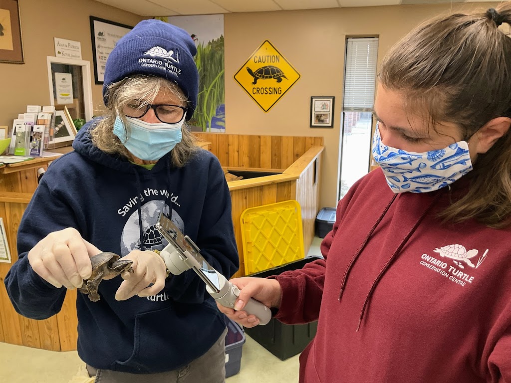 OTCC Turtle Education Centre | 1434 Chemong Rd #4, Peterborough, ON K9J 6X2, Canada | Phone: (705) 741-5000