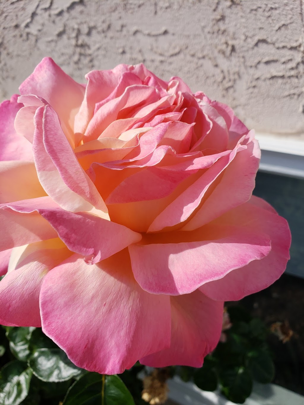 KeriGlen Lakeview Bed & Breakfast | 3404 W Bench Dr, Penticton, BC V2A 8Z8, Canada | Phone: (250) 276-9370