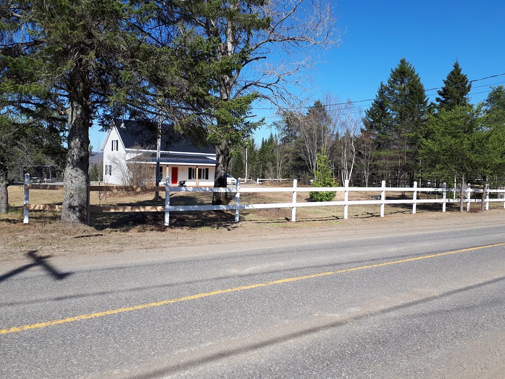 Bleuetiere-framboisiere Ste-Lucie | 520 Chemin des Hauteurs, Sainte-Lucie-des-Laurentides, QC J0T 2J0, Canada | Phone: (450) 228-4567