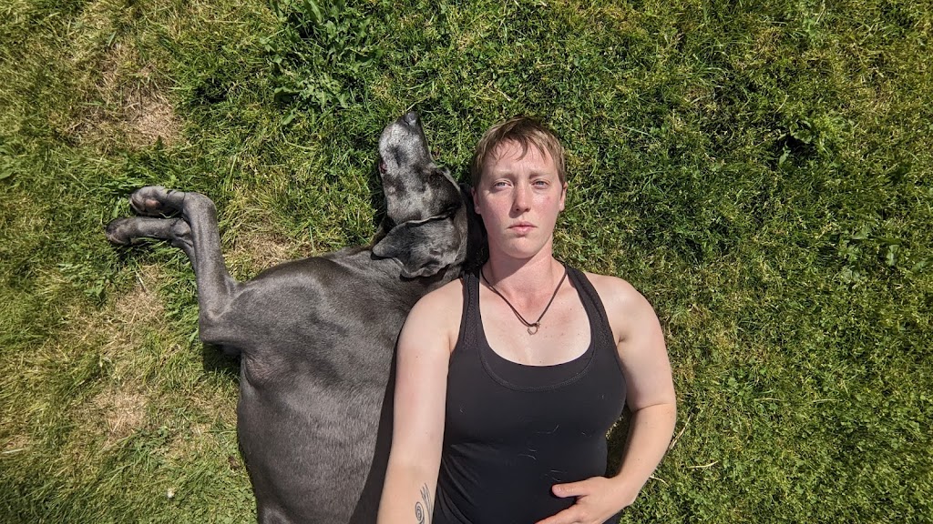 New View Dog Training | 968 Gade Rd, Victoria, BC V9B 0G8, Canada | Phone: (403) 604-1880