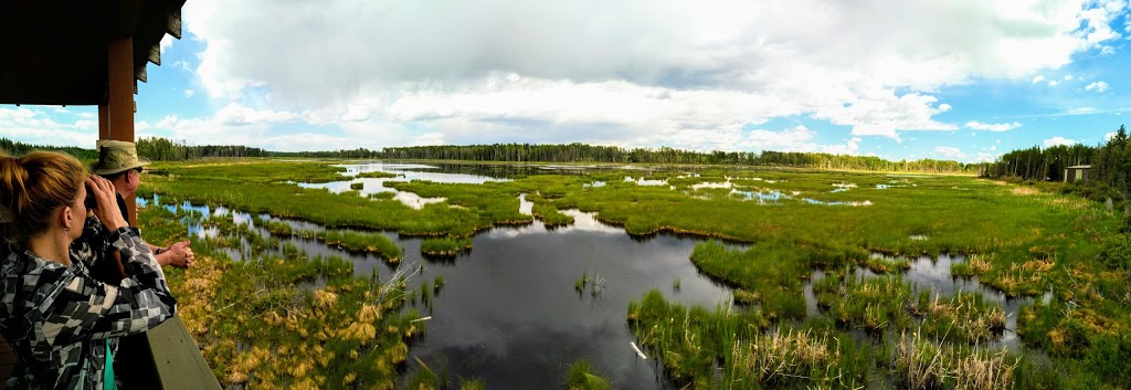 Medicine River Wildlife Centre | Box 115, Spruce View, AB T0M 1V0, Canada | Phone: (403) 728-3467