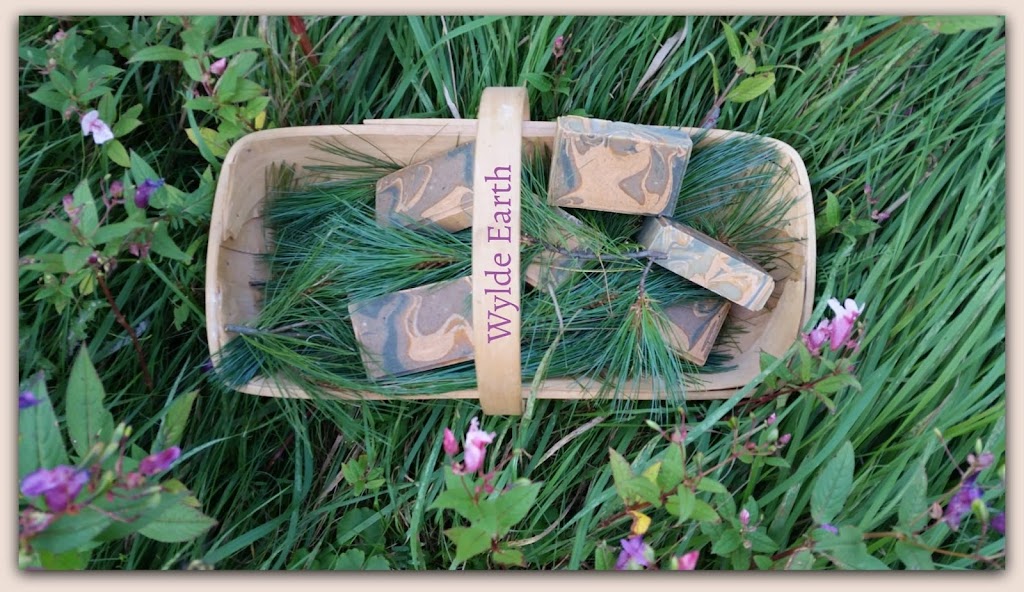 Wylde Earth | 10 Woodlawn Rd, Dorchester, NB E4K 3A8, Canada | Phone: (506) 213-0071