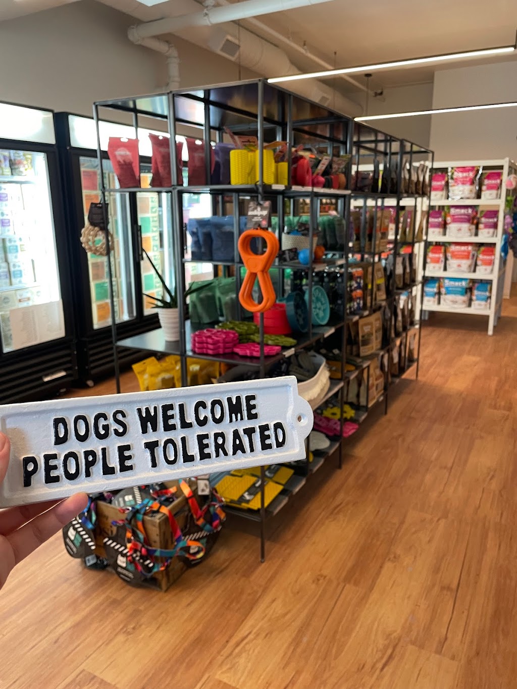 East Coast Dog | 3180 Isleville St, Halifax, NS B3K 3Y3, Canada | Phone: (902) 200-8332