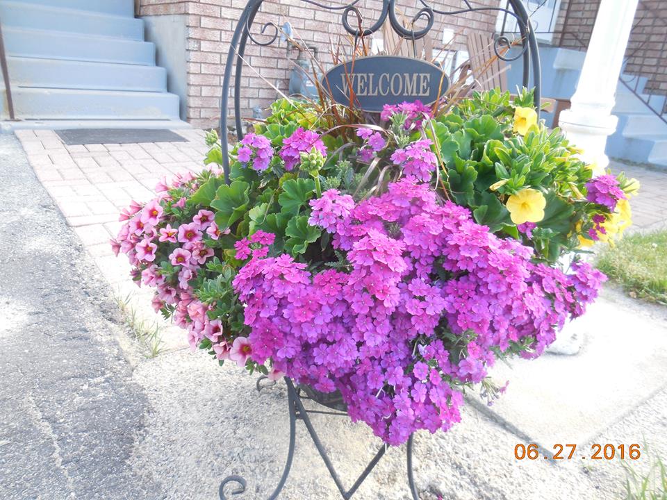 Hollas Produce & Greenhouses | 3651 Martin Rd, Val Caron, ON P3N 1R3, Canada | Phone: (705) 897-7554