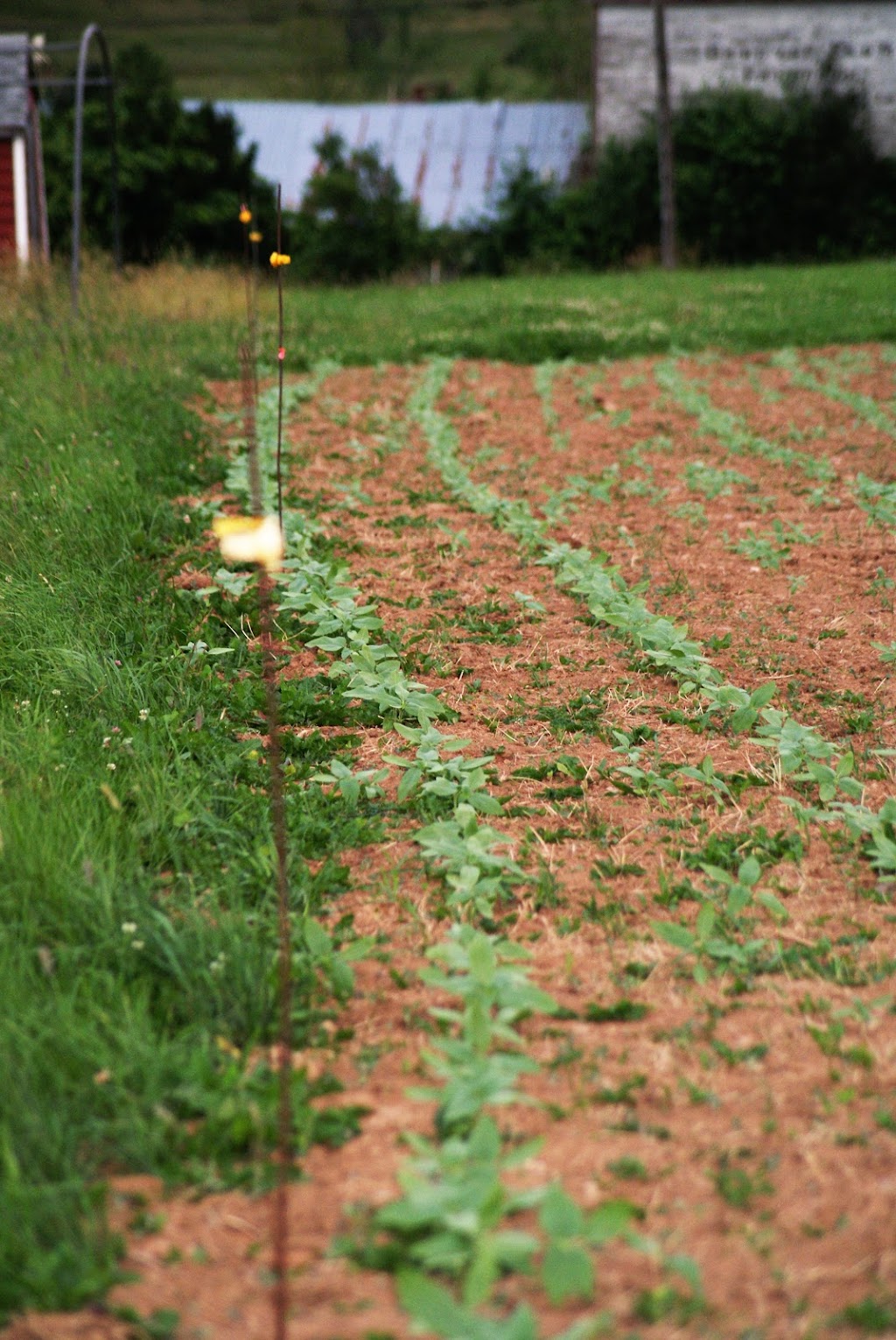 Dakeyne Farm | 1137 Nova Scotia Trunk 1, Falmouth, NS B0P 1L0, Canada | Phone: (902) 790-0542