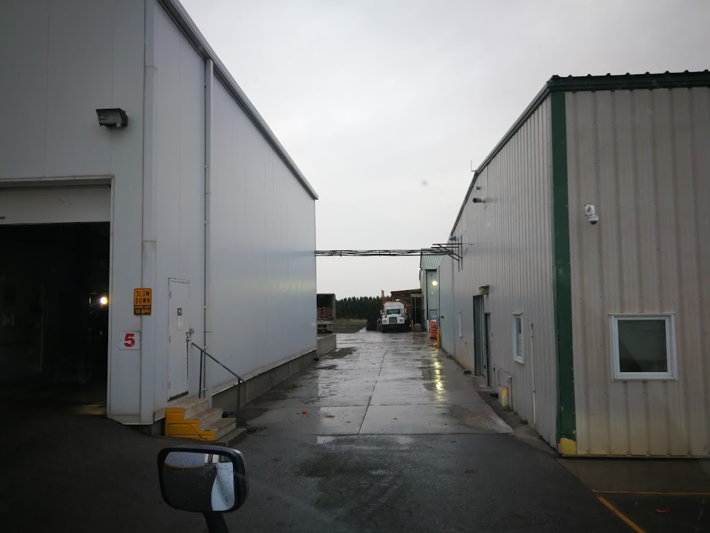 Pier-C Produce Inc | 24907 Winter Line Rd, Chatham, ON N7M 5J8, Canada | Phone: (519) 351-3838