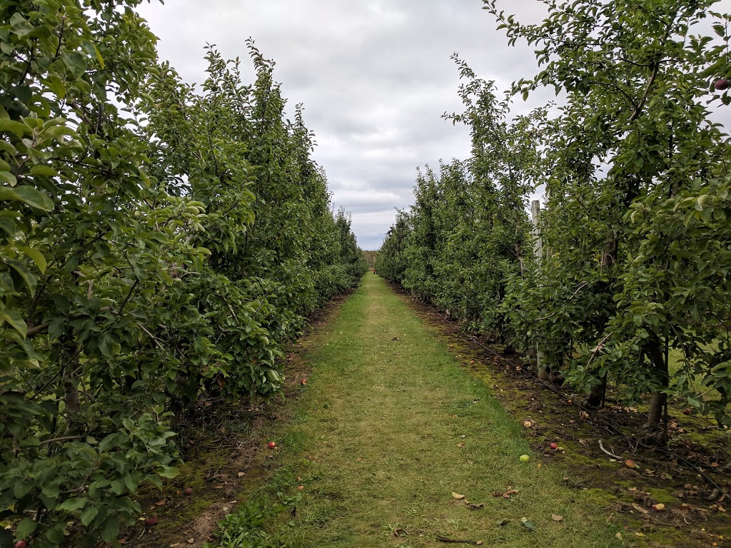 Green Park | Padfield Dr, Bowmanville, ON L1C 5B4, Canada