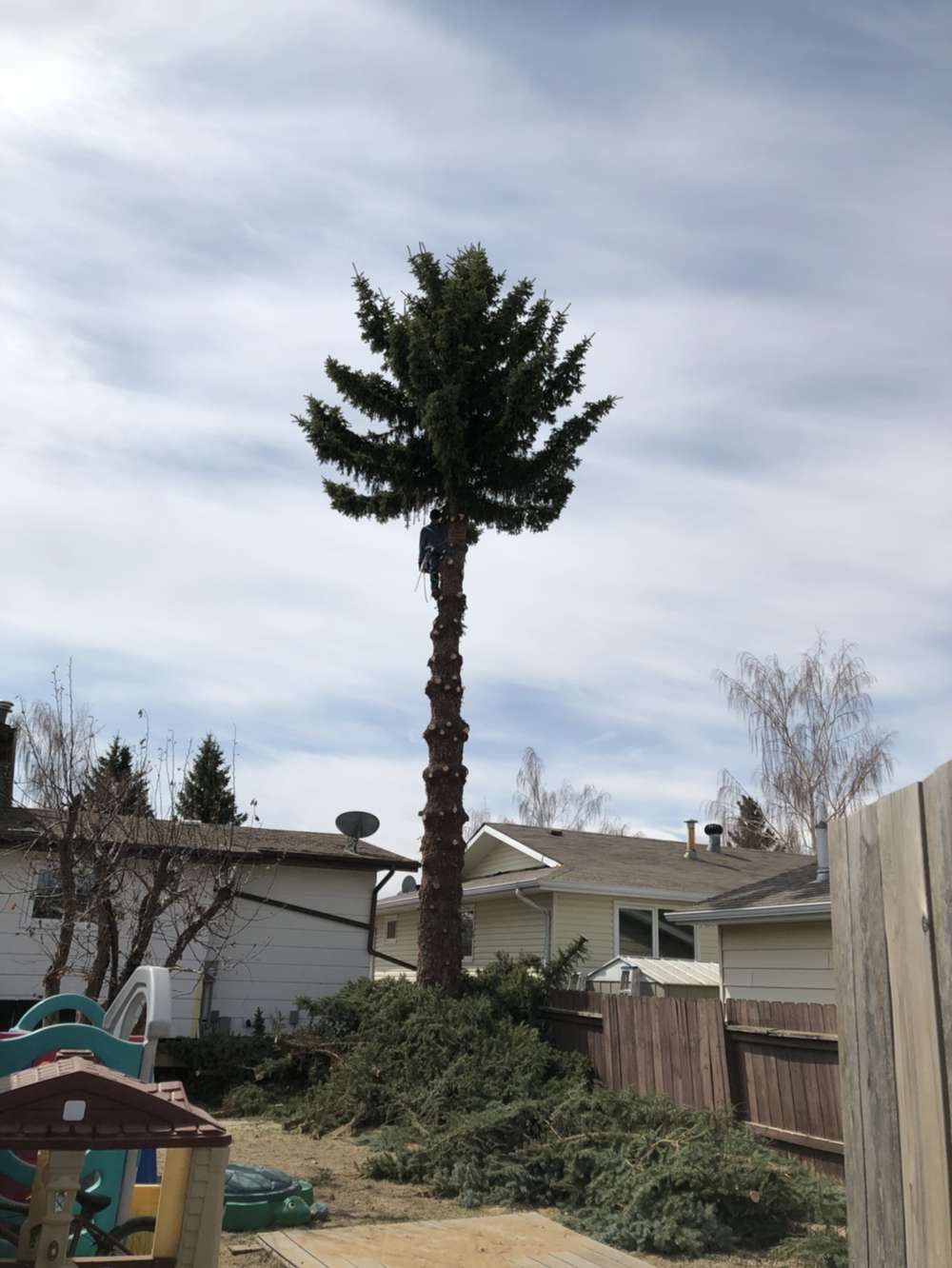KBG landscaping and tree services | Box 133, 308 7 Ave W, Hanna, AB T0J 1P0, Canada | Phone: (403) 854-1159