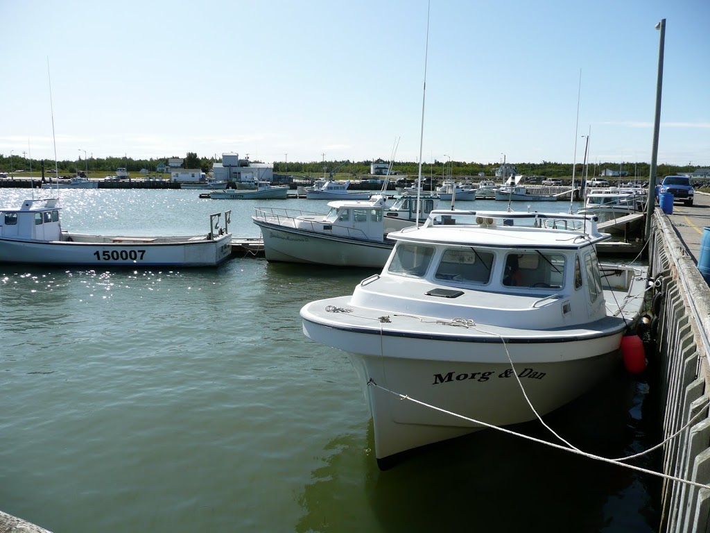 ONeil Raymond & Son Fisheries LTD | 221 Escuminac Point Rd, Escuminac, NB E9A 1V6, Canada | Phone: (506) 228-4794