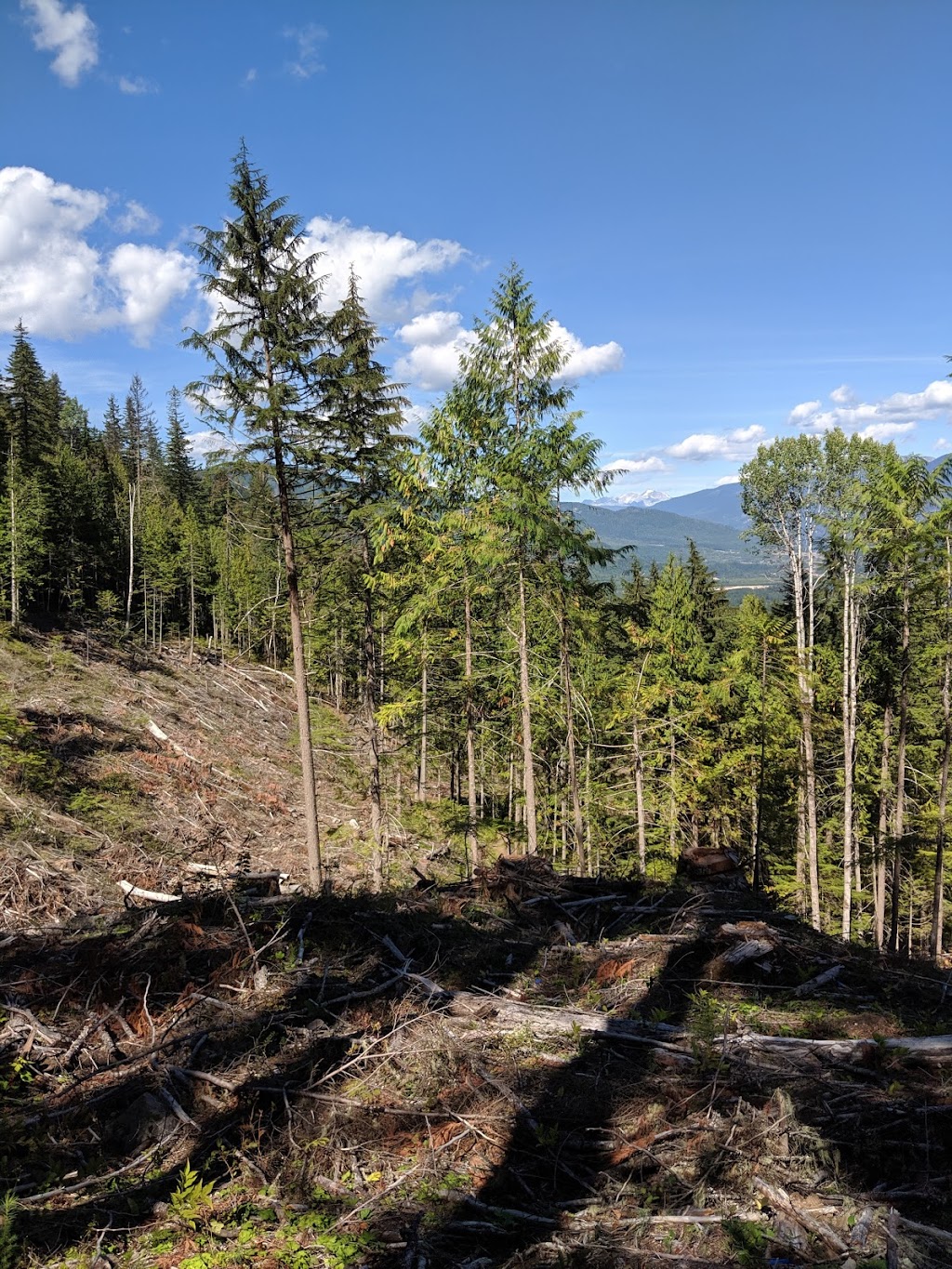 Revelstoke Nordic Ski Club | 2265 Hwy 23 South, Box 1618, Revelstoke, BC V0E 2S0, Canada | Phone: (250) 814-4264