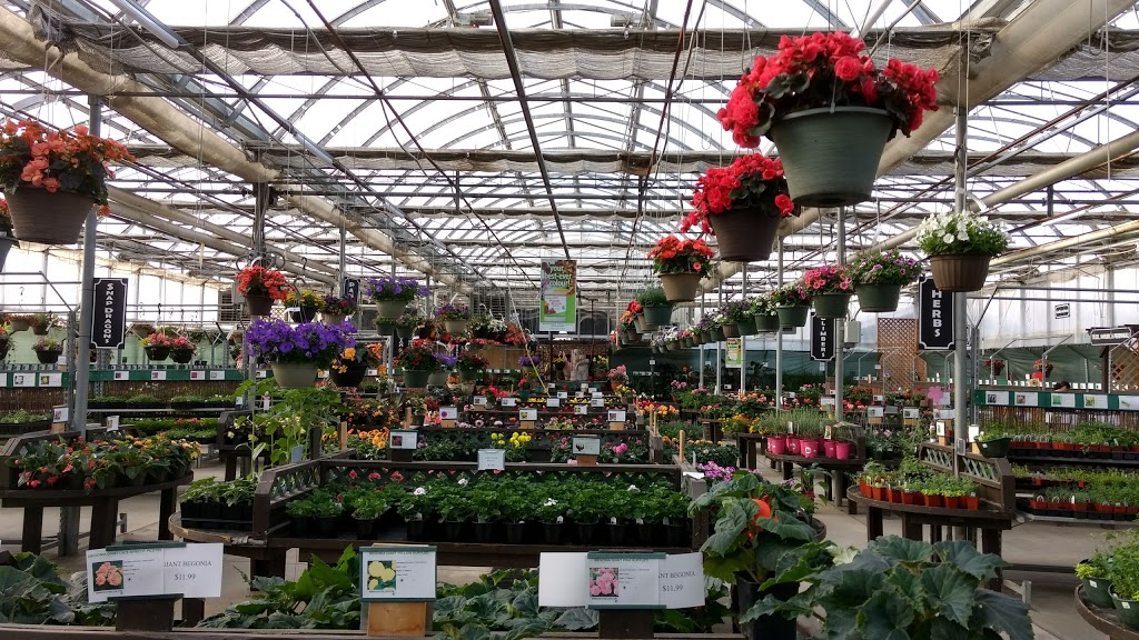 Root Seller, The | 16735 Zaychuk Rd NW, Edmonton, AB T5Y 6G5, Canada | Phone: (780) 473-2588