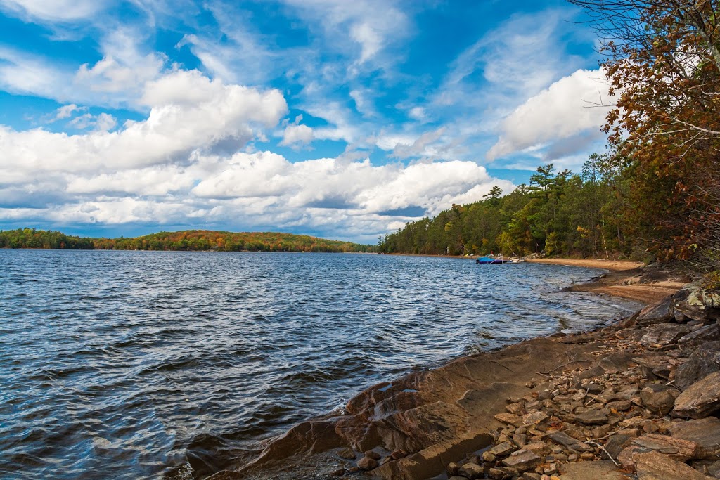 Ritchie Falls | Ritchie Falls Rd, Minden Hills, ON K0M 2K0, Canada | Phone: (800) 461-7677