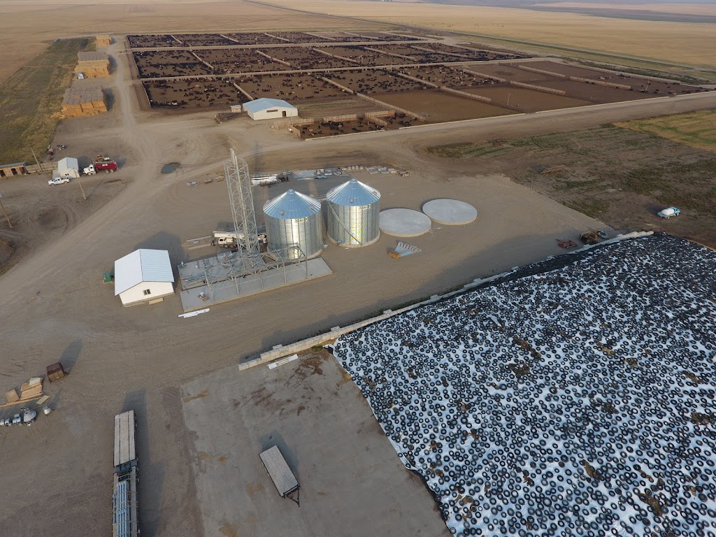 Thompson Colony Feedlot | Willow Creek No. 26, AB T0K 2R0, Canada | Phone: (403) 359-3447