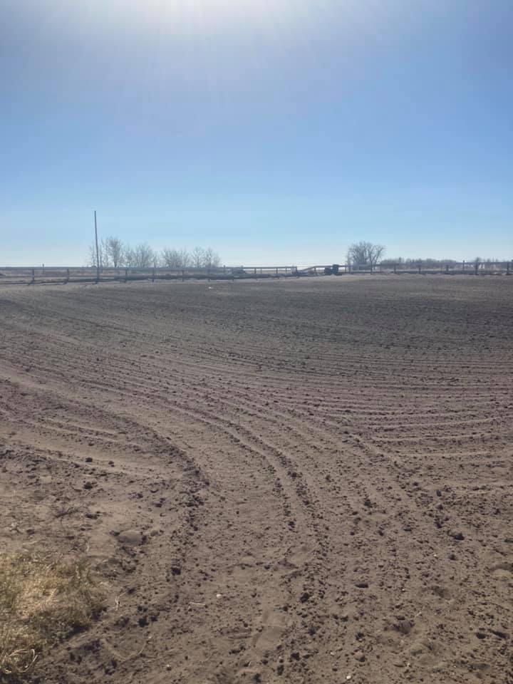 Mane Stage Stables | 232045 Range Road 250 Intersection of Township Rd 232 and, Range Rd 250, Carseland, AB T1P 0N6, Canada | Phone: (403) 689-2048