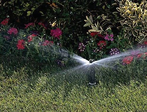 Water Your World Inc. | 494 Concession Rd 6 W, Millgrove, ON L0R 1V0, Canada | Phone: (905) 689-6168