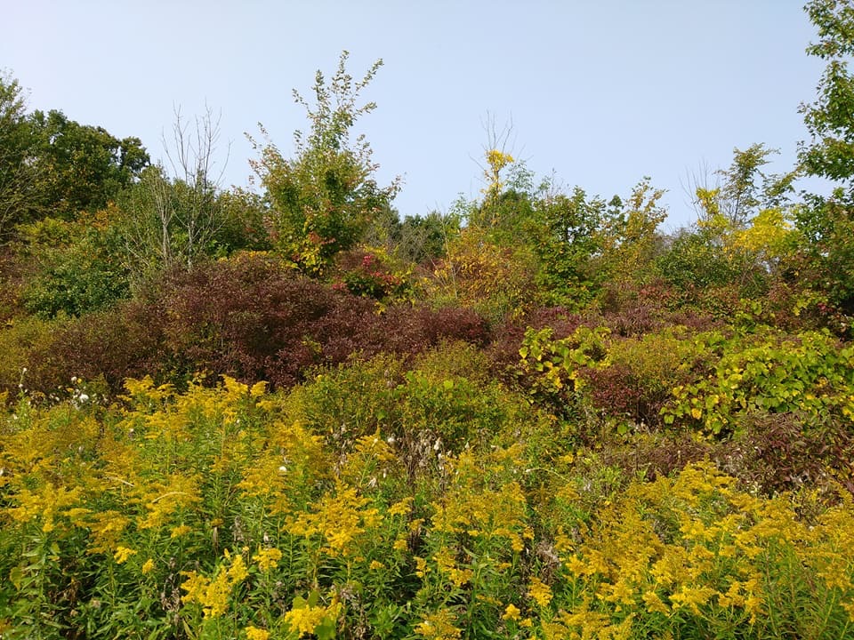 Wetzel State Recreation Area | 27 Mile Rd, New Haven, MI 48048, USA | Phone: (810) 765-5605