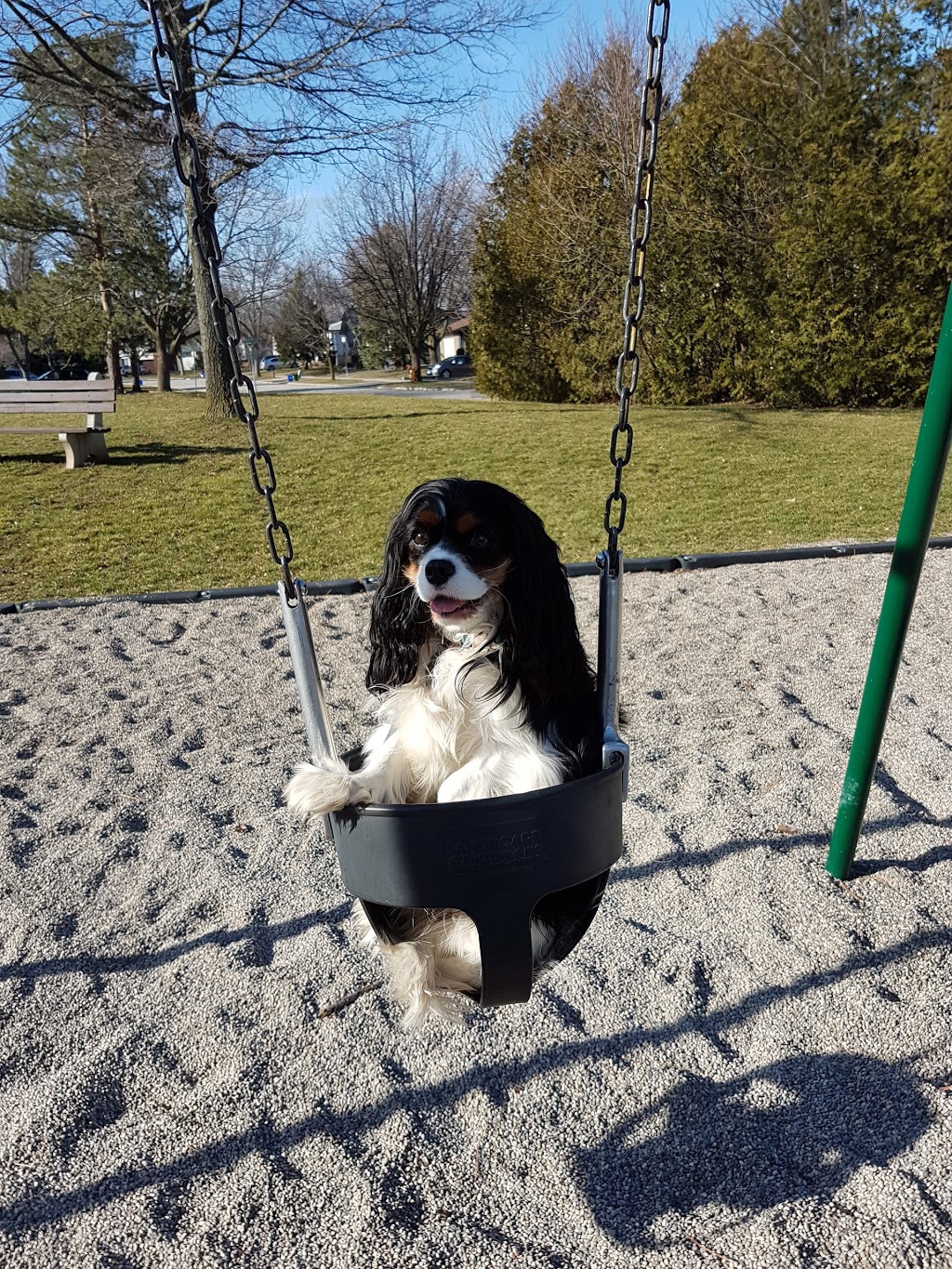 Glen Allen Park | 2503 Bridge Rd, Oakville, ON L6L 2H3, Canada | Phone: (905) 815-5989