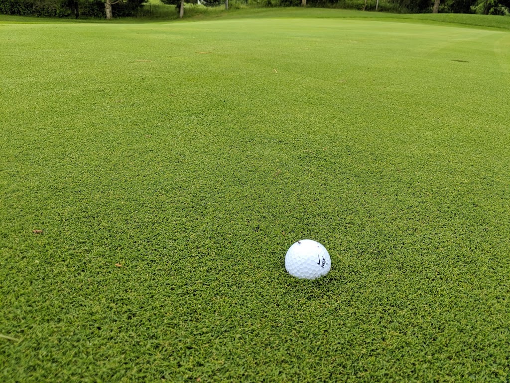 Twin Streams Golf Course | 3481 Carriage Rd, Delaware, ON N0L 1E0, Canada | Phone: (519) 652-5211