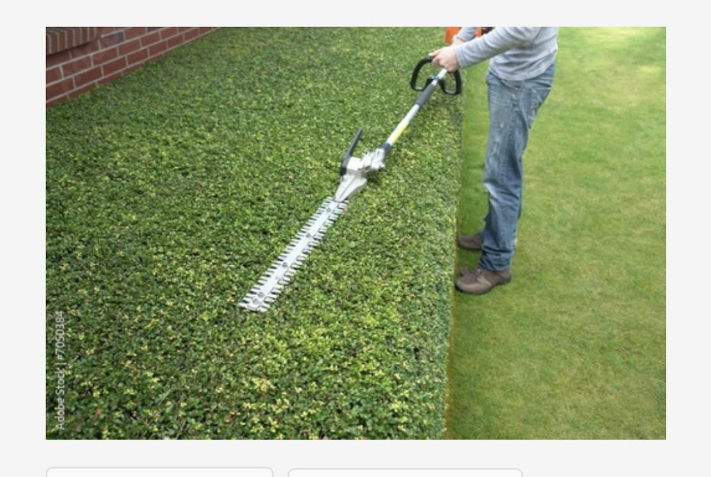 AJ Trimming | 93 Pl. Adélaide, Candiac, QC J5R 3J3, Canada | Phone: (514) 865-8564