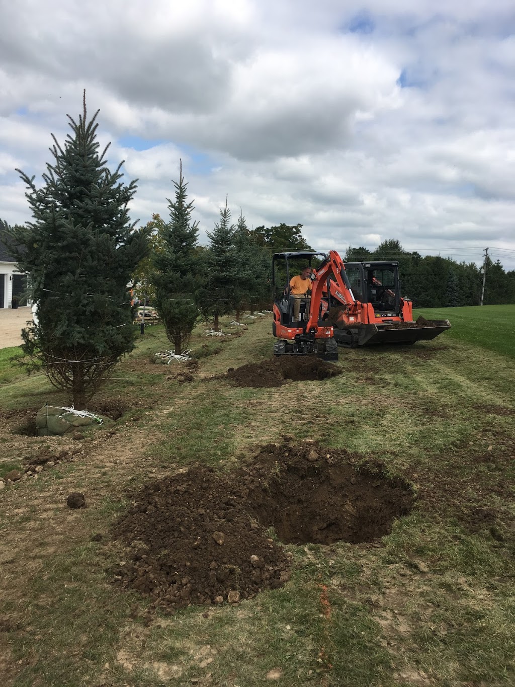 Travelling Trees Ltd | 6144 7 Line, Belwood, ON N0B 1J0, Canada | Phone: (519) 831-6094