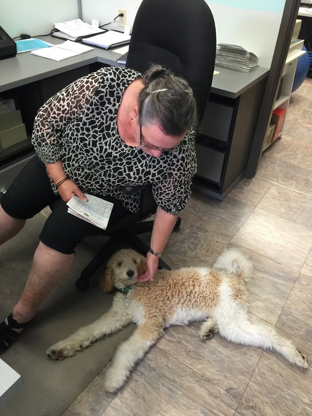 Back to Health Wellness Centre | 240 Catherine St #100, Ottawa, ON K2P 2G8, Canada | Phone: (613) 237-3306