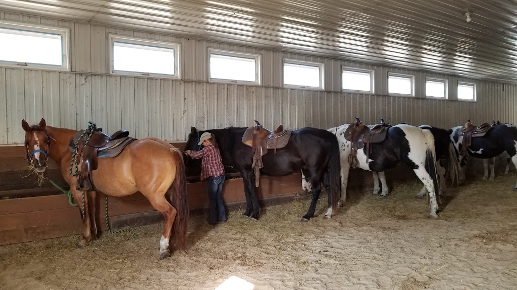 Miracle Ranch | 65083 Rd 22 E, Winnipeg, MB R5R 0K1, Canada | Phone: (204) 224-1180