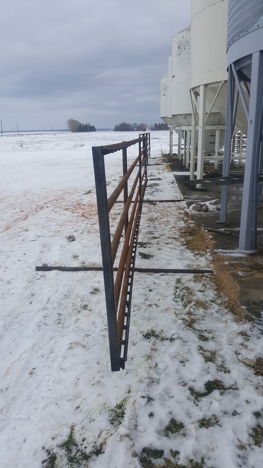 Circle A Ag | 1X0, Mile 84 Rd N, Seddons Corner, MB R0E 1X0, Canada | Phone: (204) 495-0505