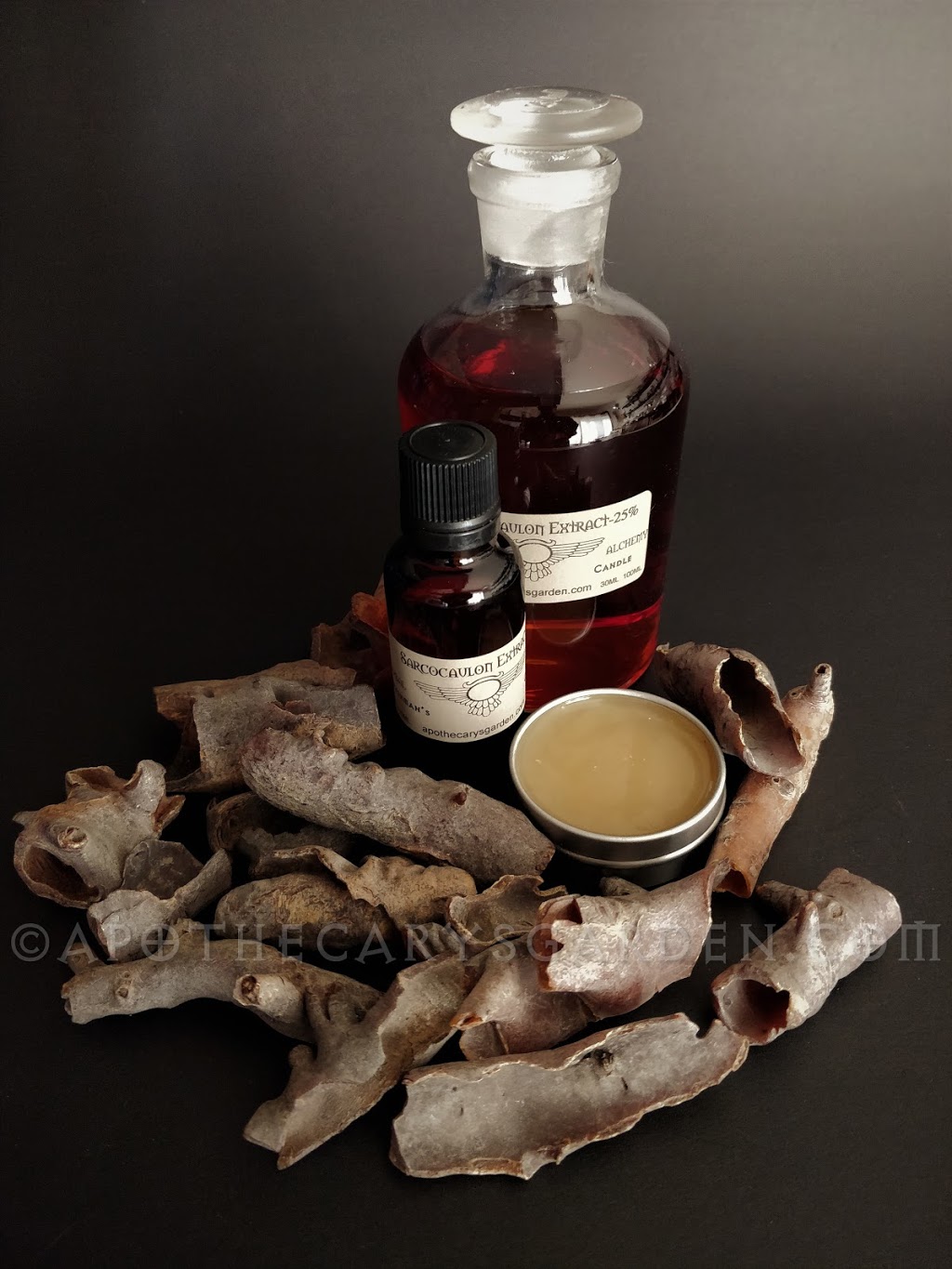 Apothecarys Garden | 245 Emerald St N, Hamilton, ON L8L 5L1, Canada | Phone: (905) 966-7716