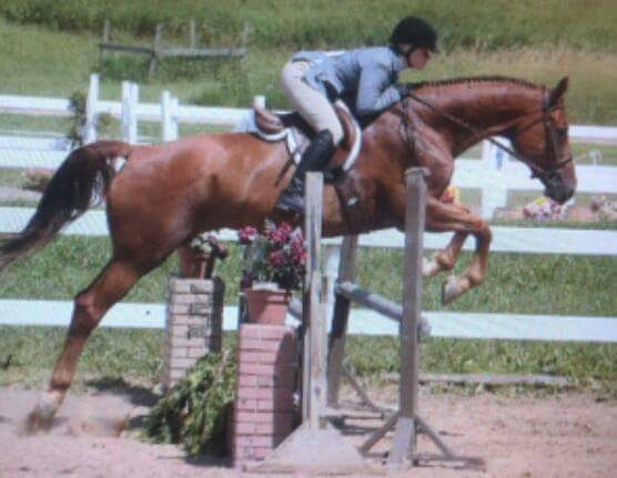 Pine Hollow Stables | 1738 Clyde Rd, Cambridge, ON N1R 5S7, Canada | Phone: (519) 620-3855