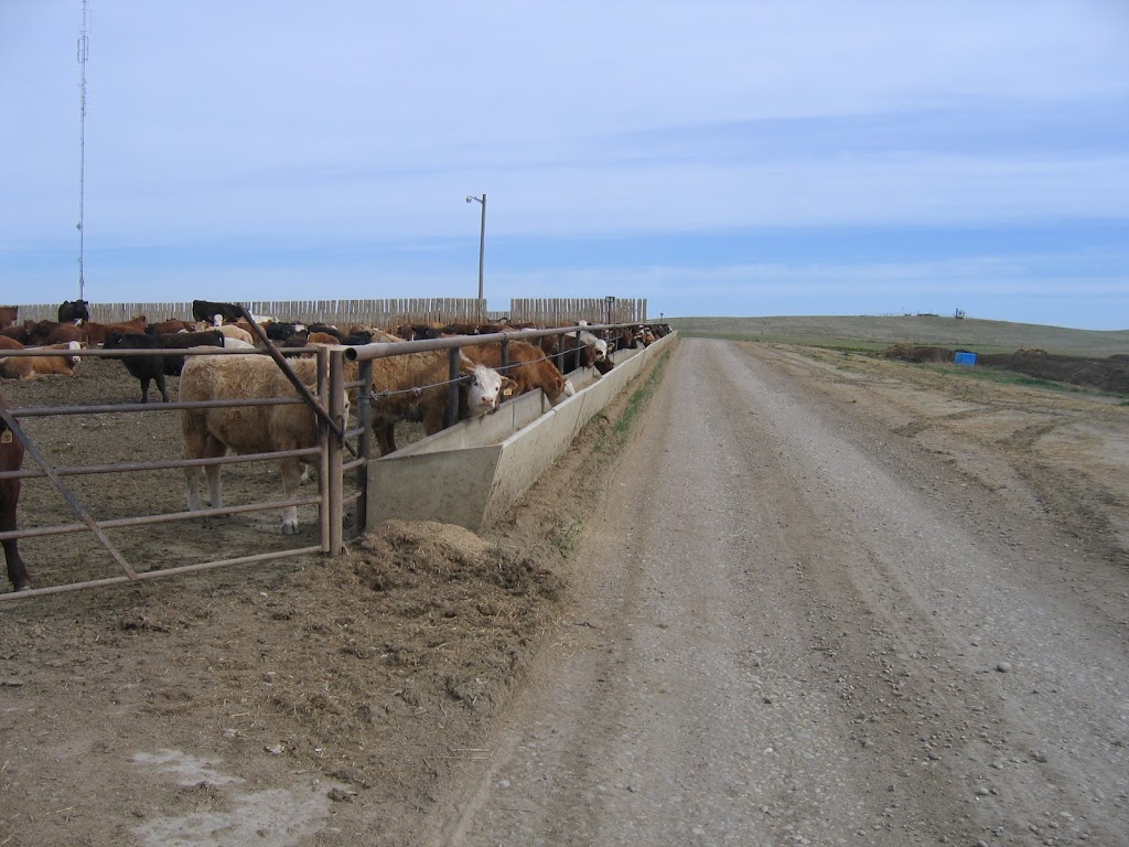 D & M Concrete Products Ltd | 40502 RR 275 Box 5029 ⛉, Lacombe, AB T4L 1W7, Canada | Phone: (403) 782-2122