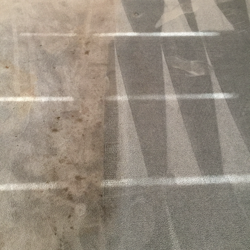Williams Carpet Cleaning Coquitlam | 2044 Kugler Ave, Coquitlam, BC V3K 2S6, Canada | Phone: (604) 518-0878