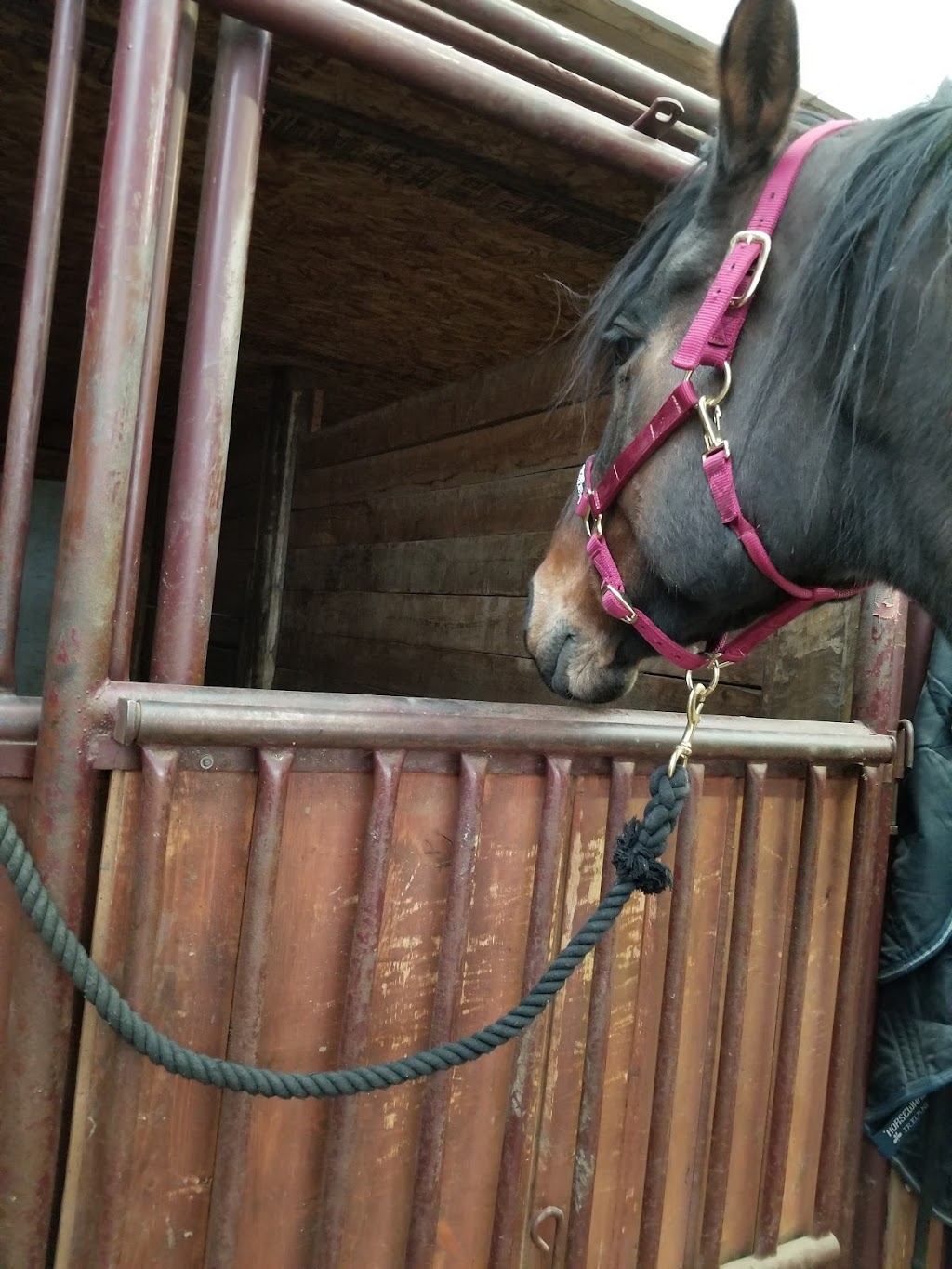 Tristar Equestrian Centre Hunter/Jumper/Eventing | 271104, Range Rd 20, Airdrie, AB T0B 2A3, Canada | Phone: (403) 948-7472