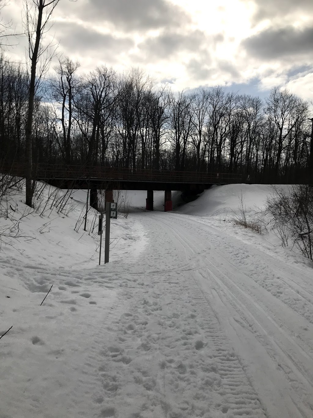Bois de Liesse | 3500 Rue Douglas B Floreani, Saint-Laurent, QC H4S 2B9, Canada | Phone: (514) 872-0311